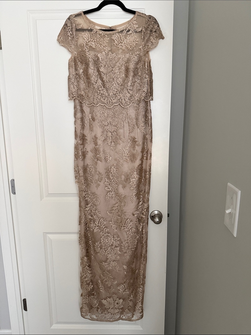 Adrianna Papell Champagne Lace Maxi Dress